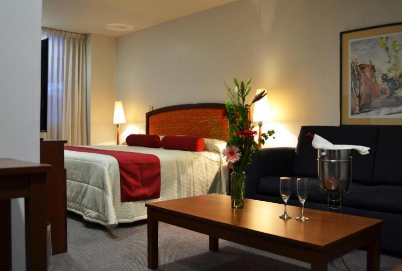 Hotel Mediterraneo Sa De Cv Тулансинго Экстерьер фото